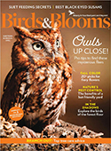 Birds & Blooms-Take outdoor enjoyment to new heights with Americas #1 bird and garden magazine. Youll love up-close bird and flower photos, amazing reader-shared Bird Tales, time and money-saving back ...