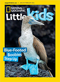 Everything you need to help your preschooler become a bright, curious explorer can be found in the pages of National Geographic Little Kids. Captivating animal stories develop prereading and reading s ...