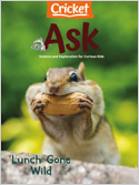 Ask Magazine Subscriptions