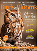 Birds & Blooms-Take outdoor enjoyment to new heights with Americas #1 bird and garden magazine. Youll love up-close bird and flower photos, amazing reader-shared Bird Tales, time and money-saving back ...