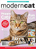 Modern Cat (2 years) Magazine Subscriptions