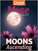 Muse