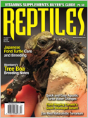 Click here to browse Reptiles