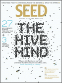 Seed