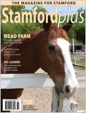 Stamford-Plus