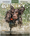 Gun Dog Magazine Subscriptions