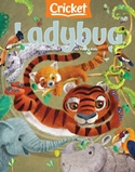 Ladybug Magazine Subscriptions