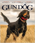 Gun Dog is the only magazine devoted exclusively to the world of upland bird and waterfowl hunter/dog owners.