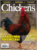 Chickens Magazine Subscriptions